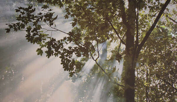 telechargement20241230-944215-21ac9i