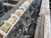 71815469_1460079580834791_4702623640158470144_n