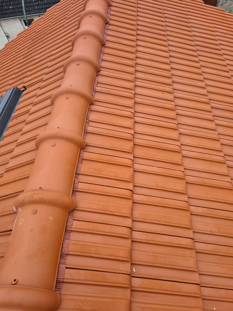 20220218_14085320220401-2998462-165amz