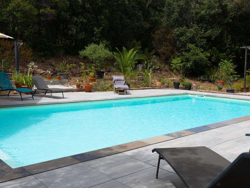 photo_pisicne_sollies