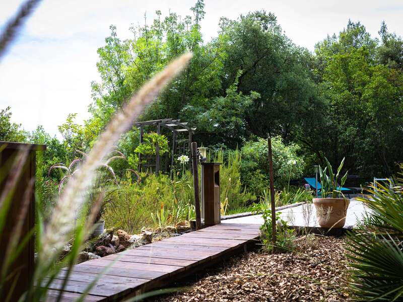 photo_pisicine_sollies_2_ok