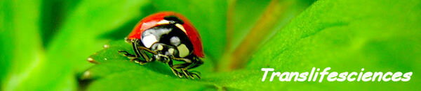 Logo TRANSLIFESCIENCES