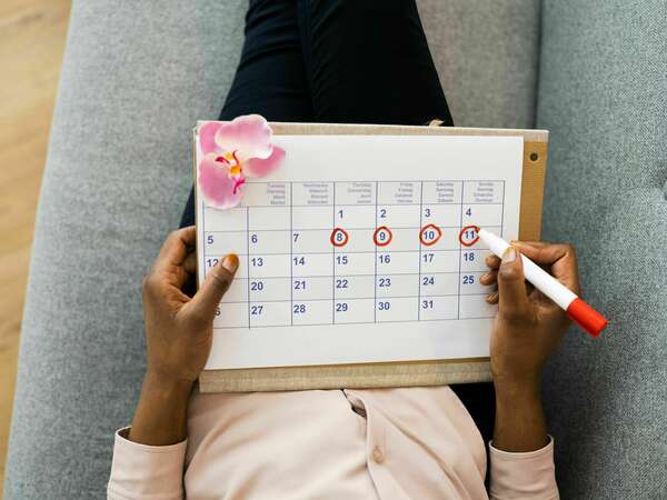 Nature cyclique crédit Canva