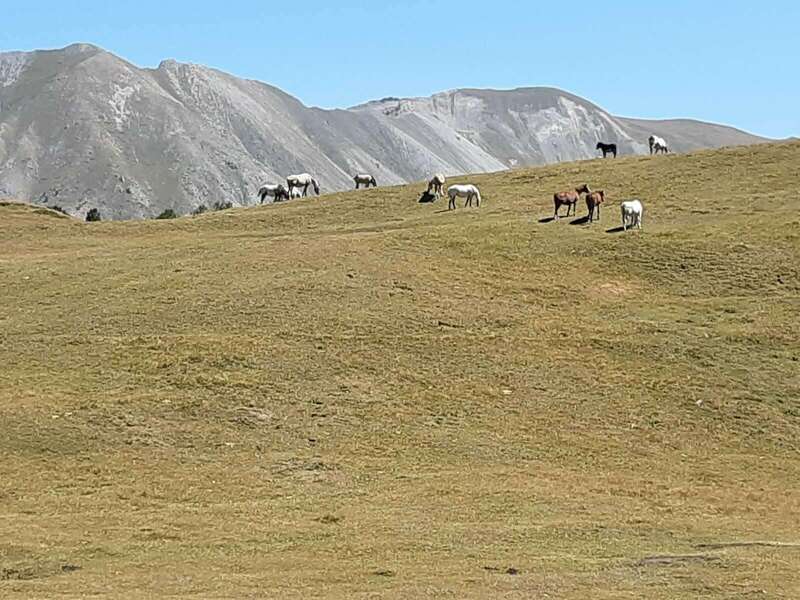 890fded9-58ae-4d1d-b390-64512aaedbe7