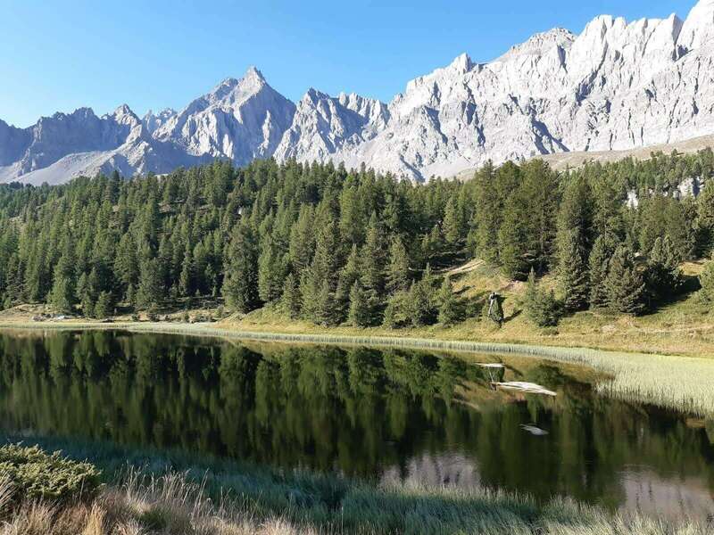 00d3d555-880d-4116-abff-313aa8ffffb3