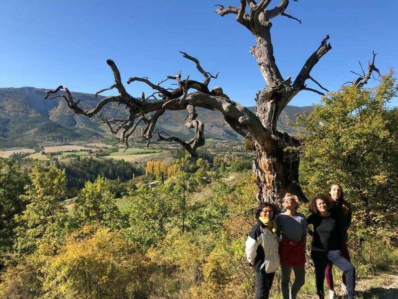 3beb8f23-9389-4fa1-840d-47ad717d0fa1