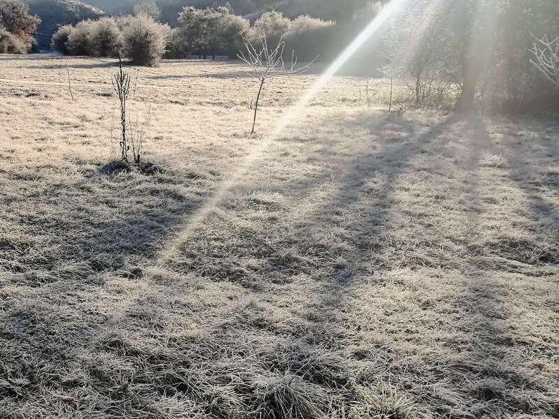 f482be82-3690-409e-912f-7b7e185fc16b