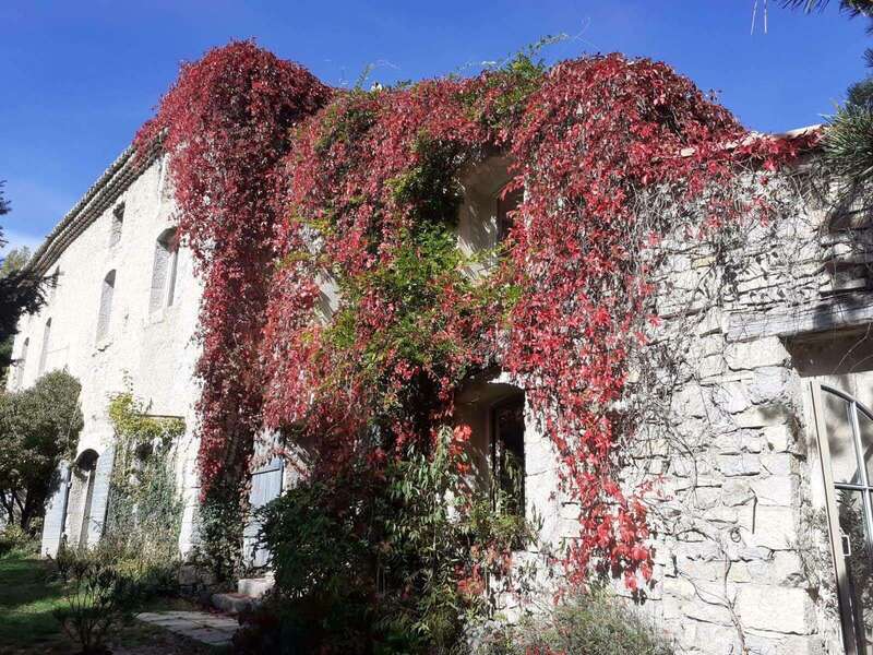 52046f56-1741-4026-b435-277e6a6c4617