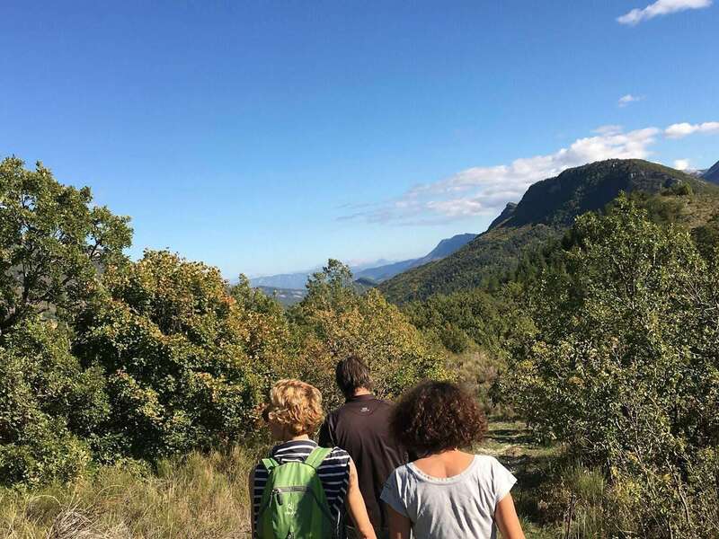 425c030f-54d1-488b-8404-5bf69937ba09