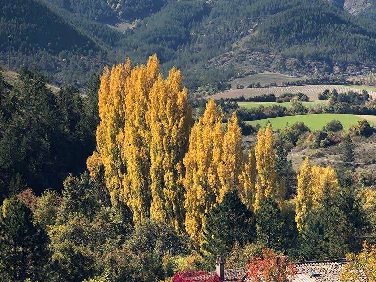 9610c2eb-dd79-4fa4-bea6-5a8bd26003d0