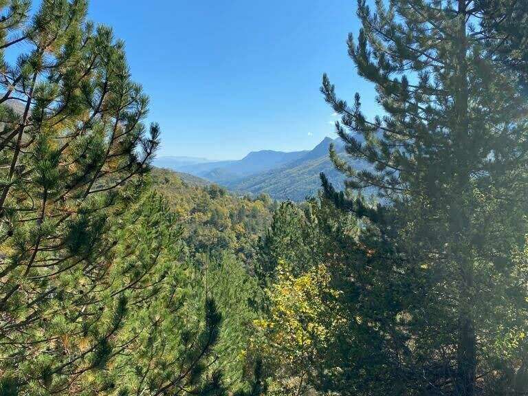 aae0ce99-be37-4b5f-9216-1dc42abbfb8e