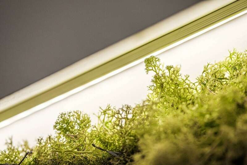 6qsqdy7pfp_1606224203
