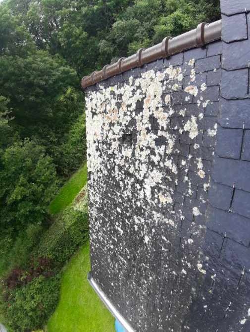 capture_d_ecran_2020-11-16_a_14-55-52