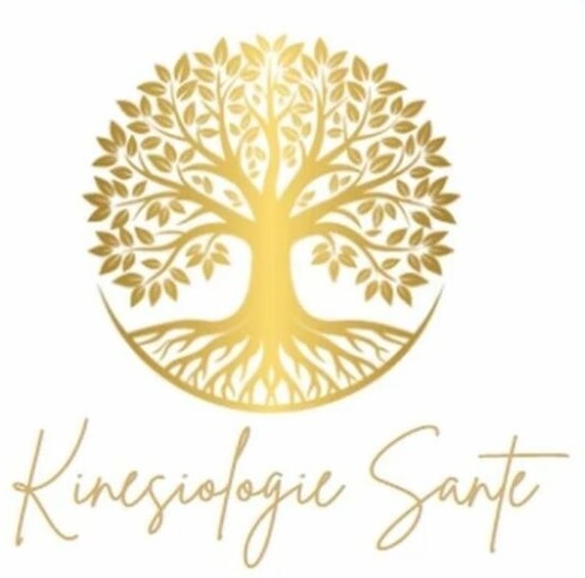 Logo Kinesiologie sante
