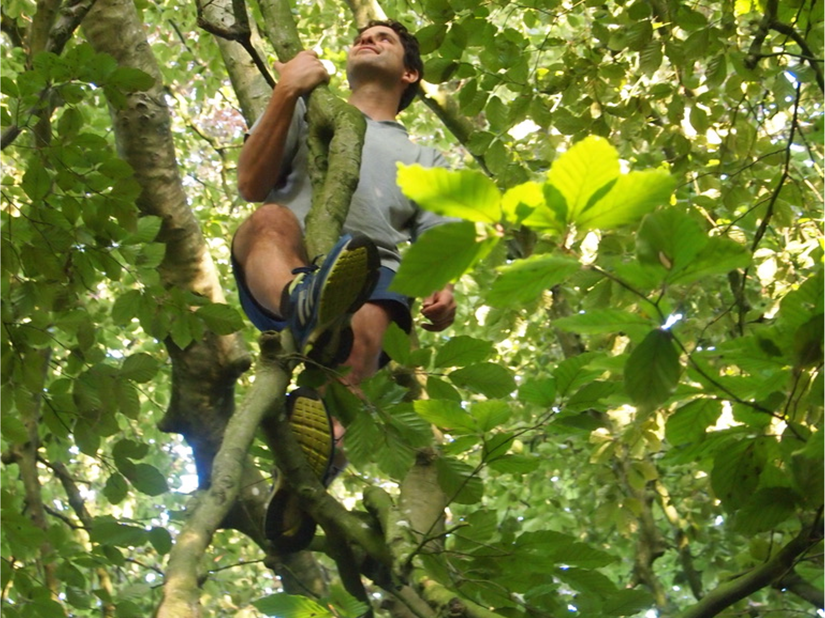 TRAVERSÉE D’UNE VILLE D’ARBRE EN ARBRE EN 11 JOURS – MAI 1998