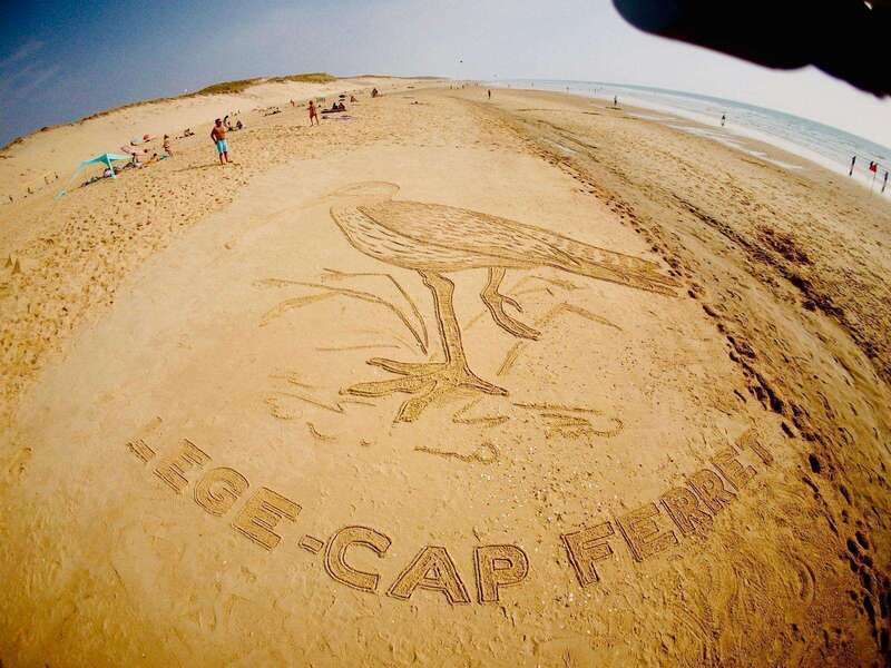 cap_ferret_landart2