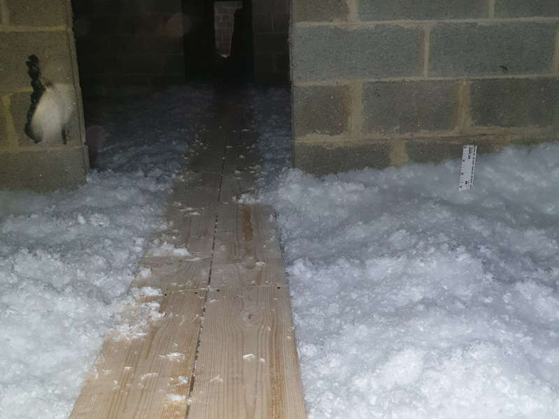 20190409_11255320190903-539722-9epwy