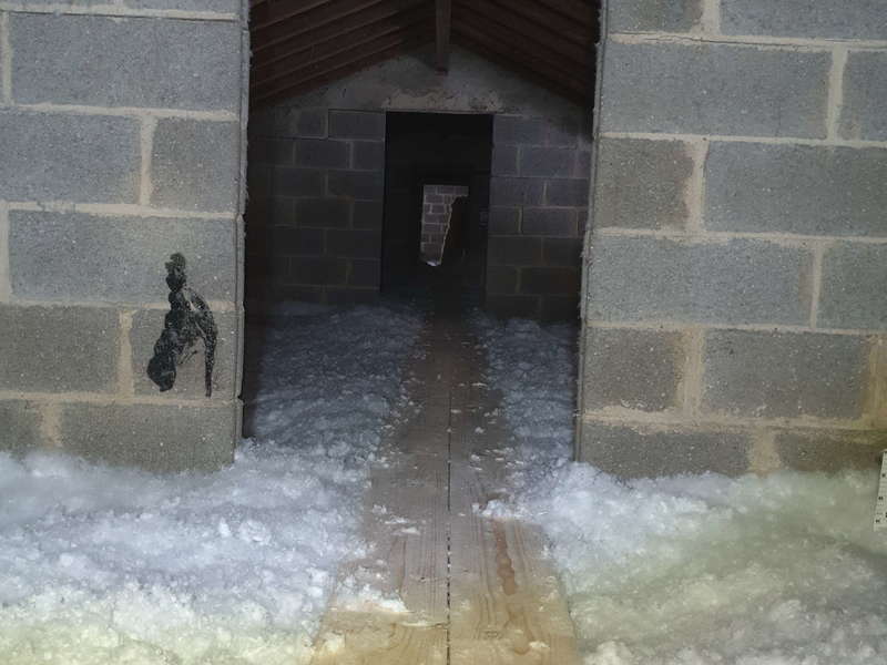 20190409_11260220190903-539722-195lkfb