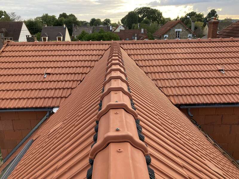 img_512720221004-892067-sc18wv