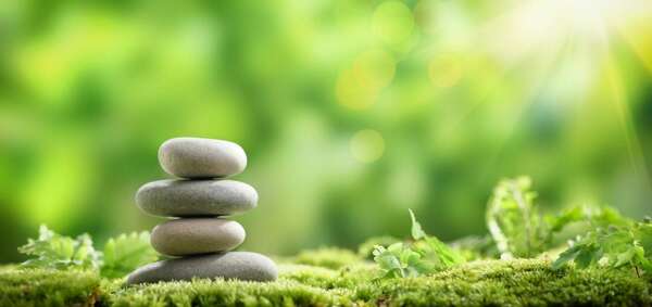 Enquête de satisfaction : les résultats