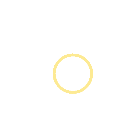 Wired outline 298 coins