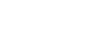 Logo P2G Logo P2G
