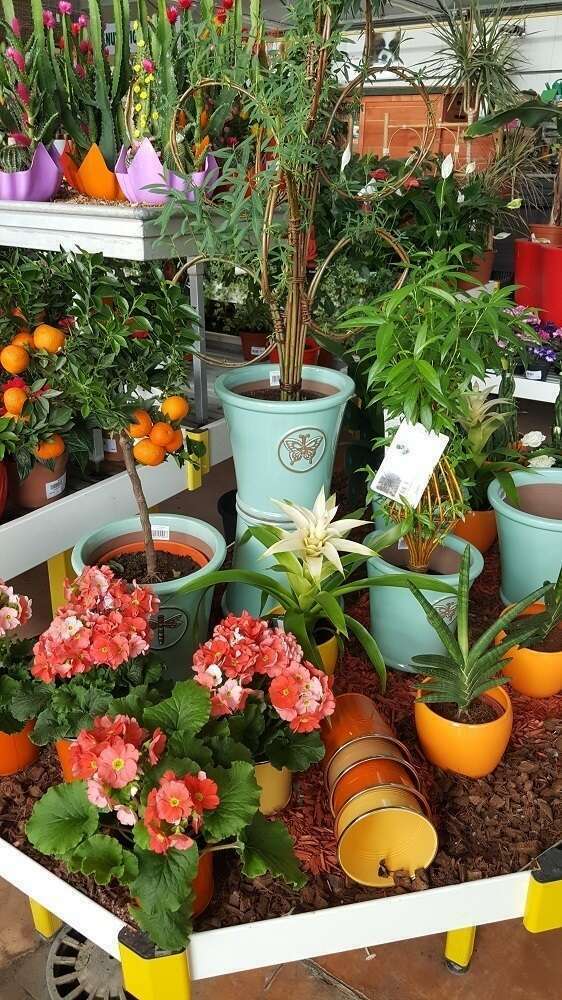 vegeteaux-interieur5