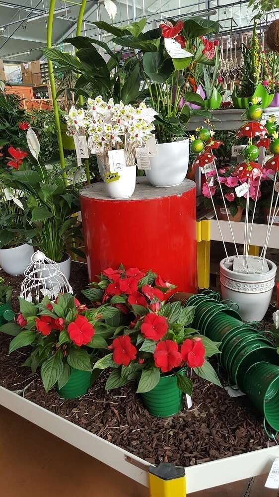 vegeteaux-interieur4