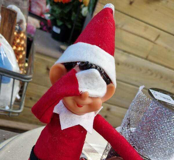 Passage du lutin farceur à la jardinerie