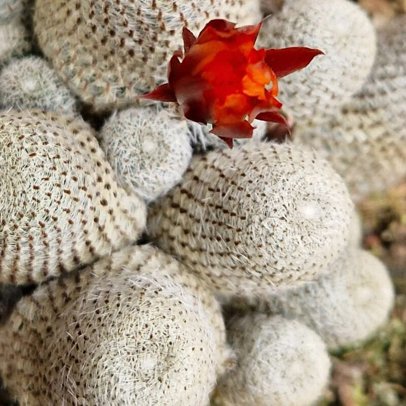 img_20240503_221940_051