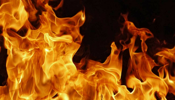 Focus sur les tendinites