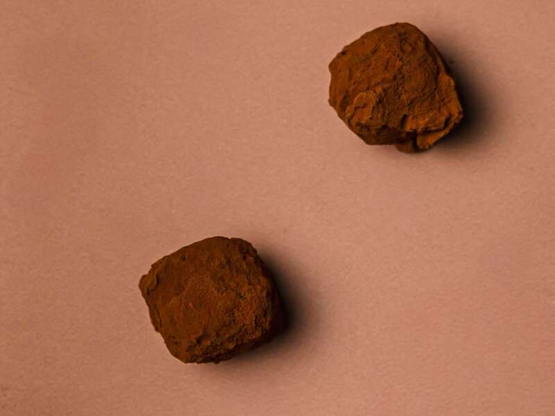 maison_savignac_noel_058