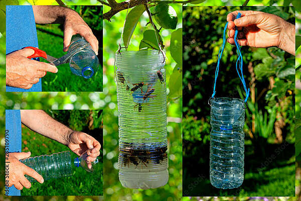 image piège à guêpes bouteille en plastique
