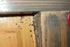 infestation de punaise de lit sur un meuble en bois