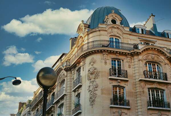 Rats dans les parties communes d’un immeuble : comment agir efficacement ?