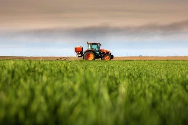 FranceAgriMer et organisations de producteurs : des sanctions possibles ?