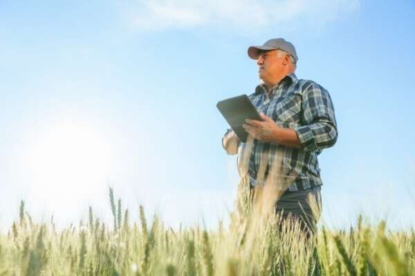 Retraite agricole : le point RCO revalorisé en 2025