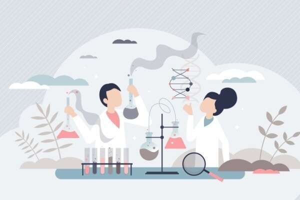 Indice du climat des affaires dans les activités spécialisées, scientifiques et techniques - Année 2025