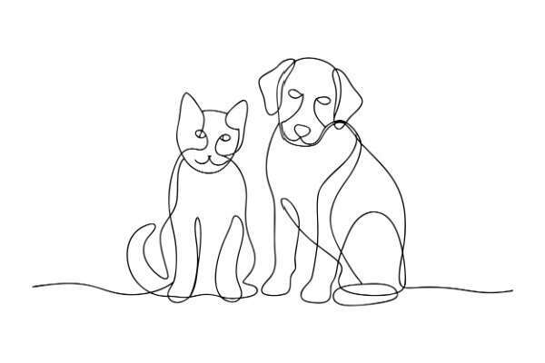 Activités liées aux animaux de compagnie : une réglementation partiellement décalée…
