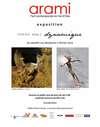 arami 2023