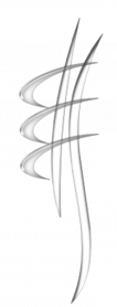 Logo Julien Burgos chiropracteur