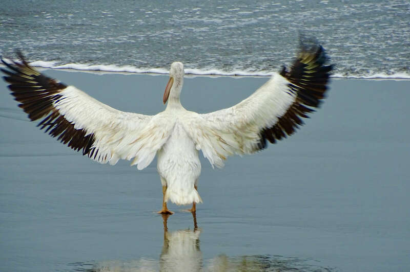 un départ à la retraite tout en douceur