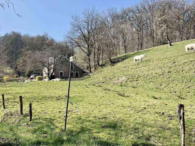 657158000_967112429182700_6075503528664271788_n