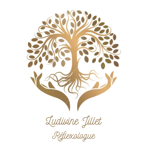 Logo Ludivine Jillet