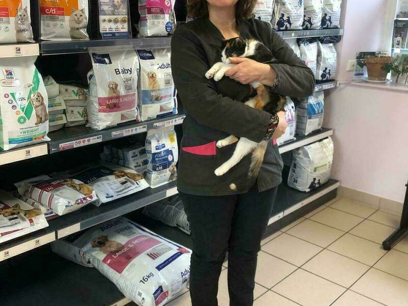 c7275776-e1f9-44bc-a228-2a1eee5a8a07