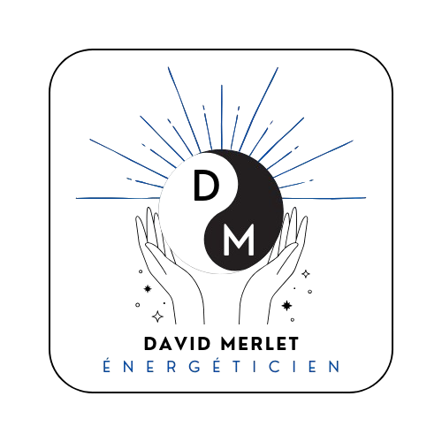 Logo David MERLET