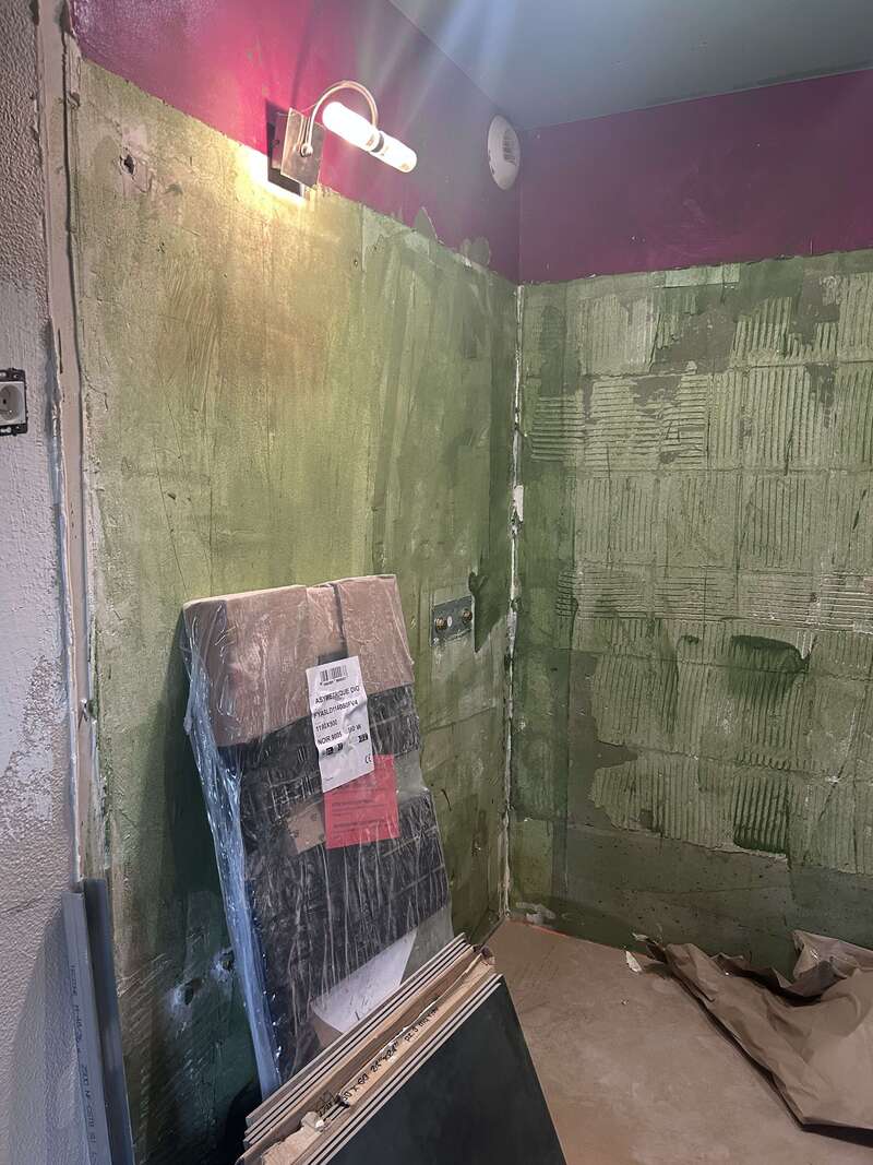 salle de bain avant rénovation