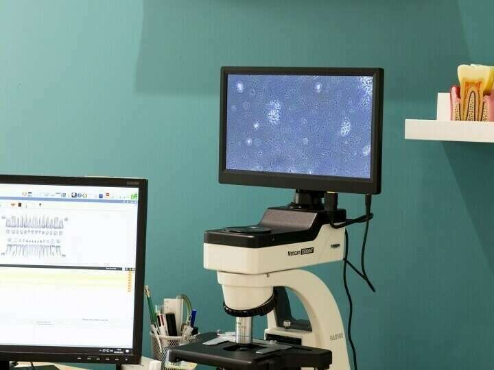 cfbpbui50e_1665666576