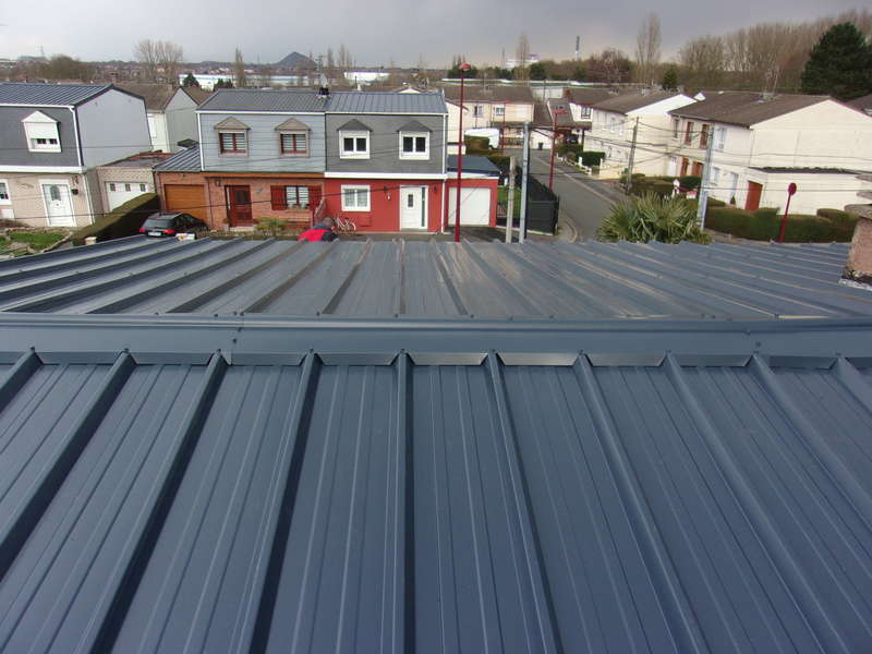 murgioni__1_20191126-2800843-n9bws2