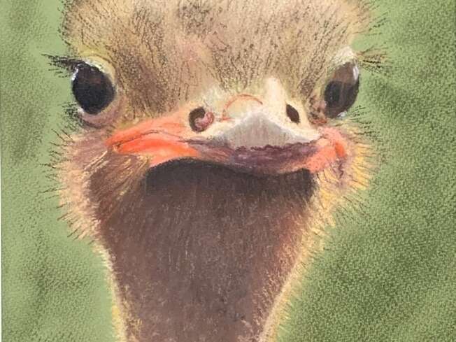 elisabeth_singer_-_autruche__pastel